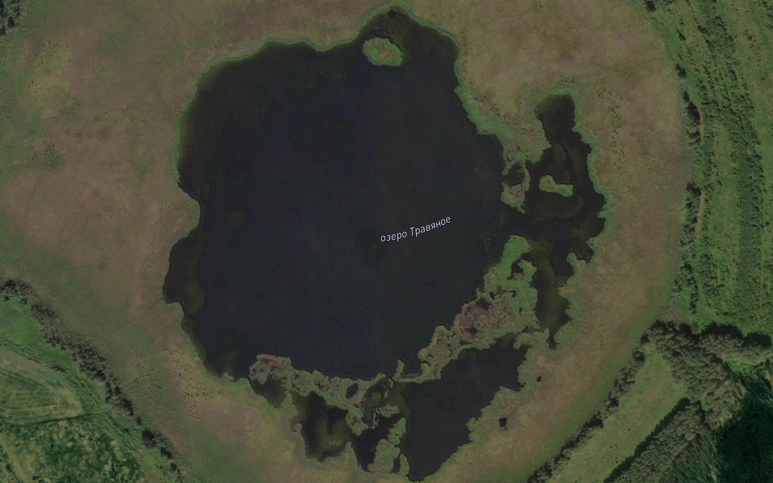 Ozero Travyanoye
