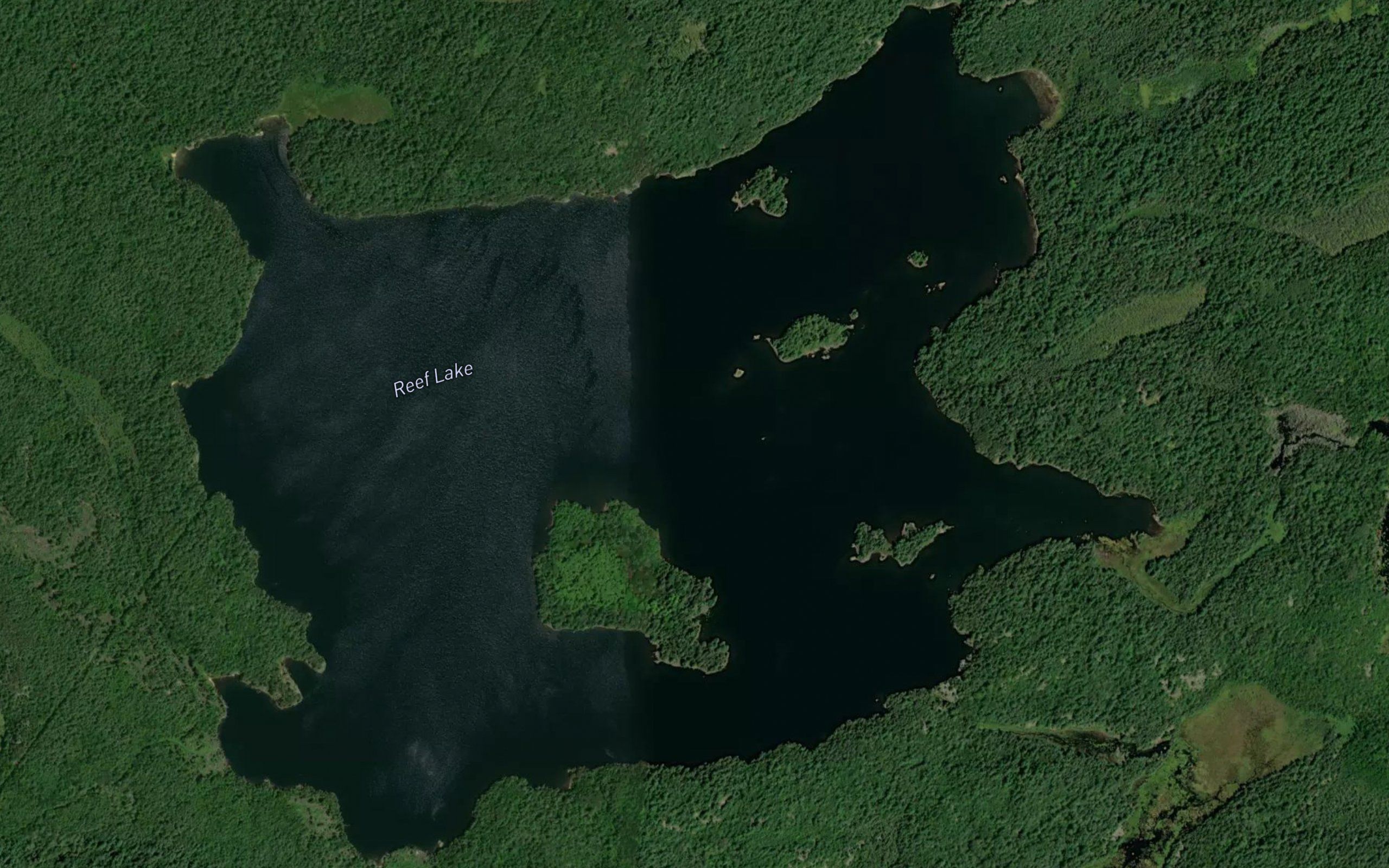 Reef Lake