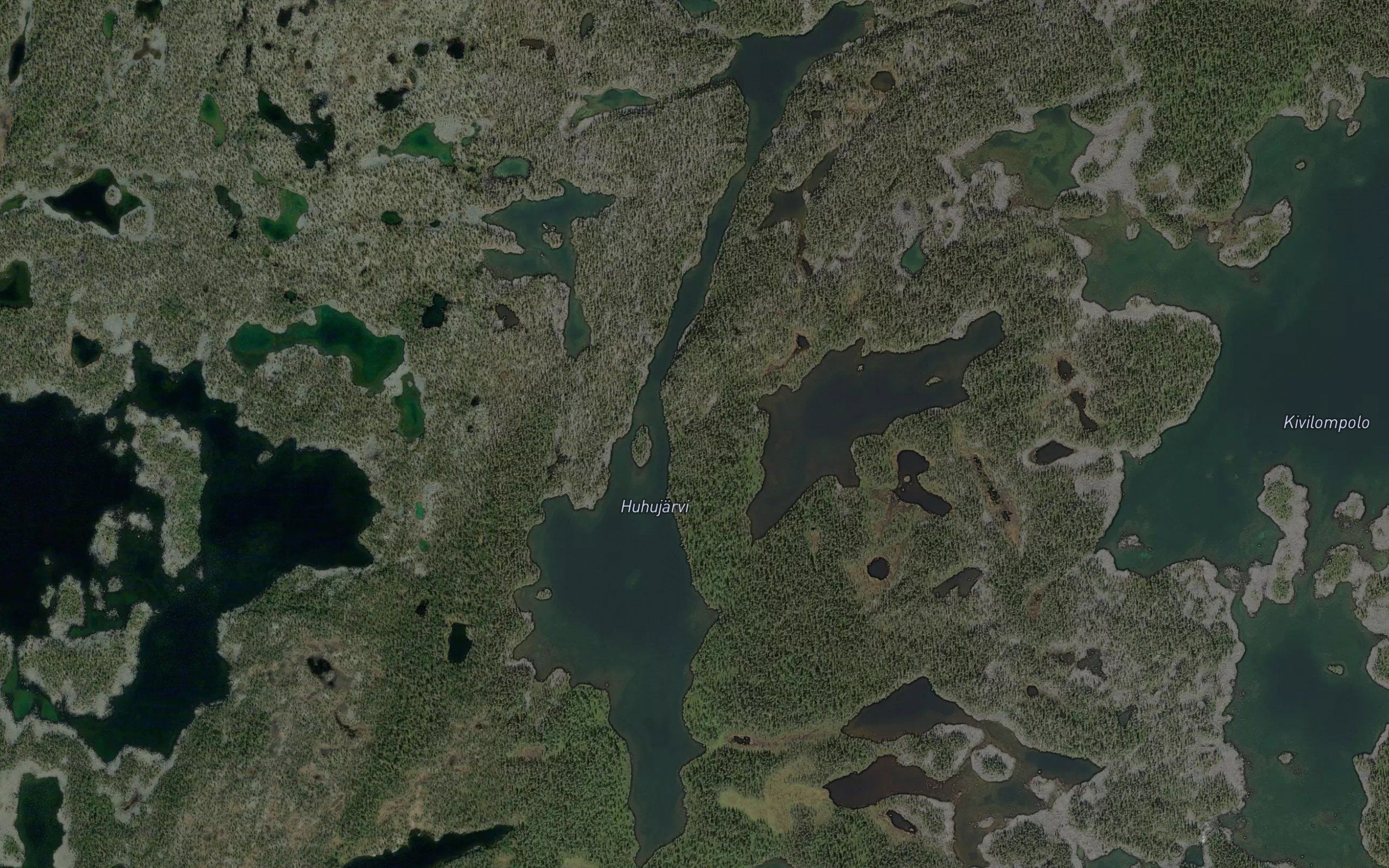 Jaskkjau'rr