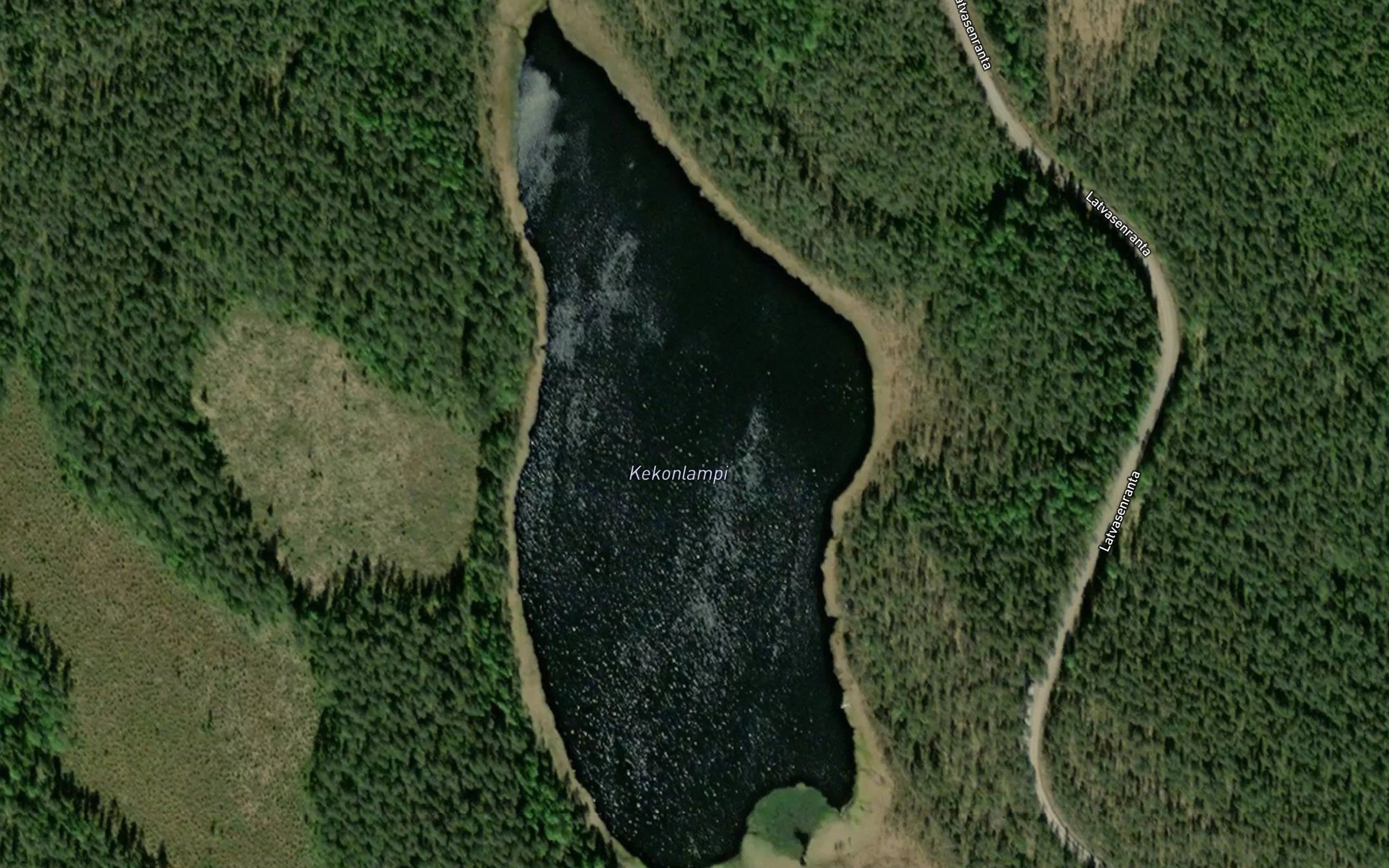 Kekonlampi