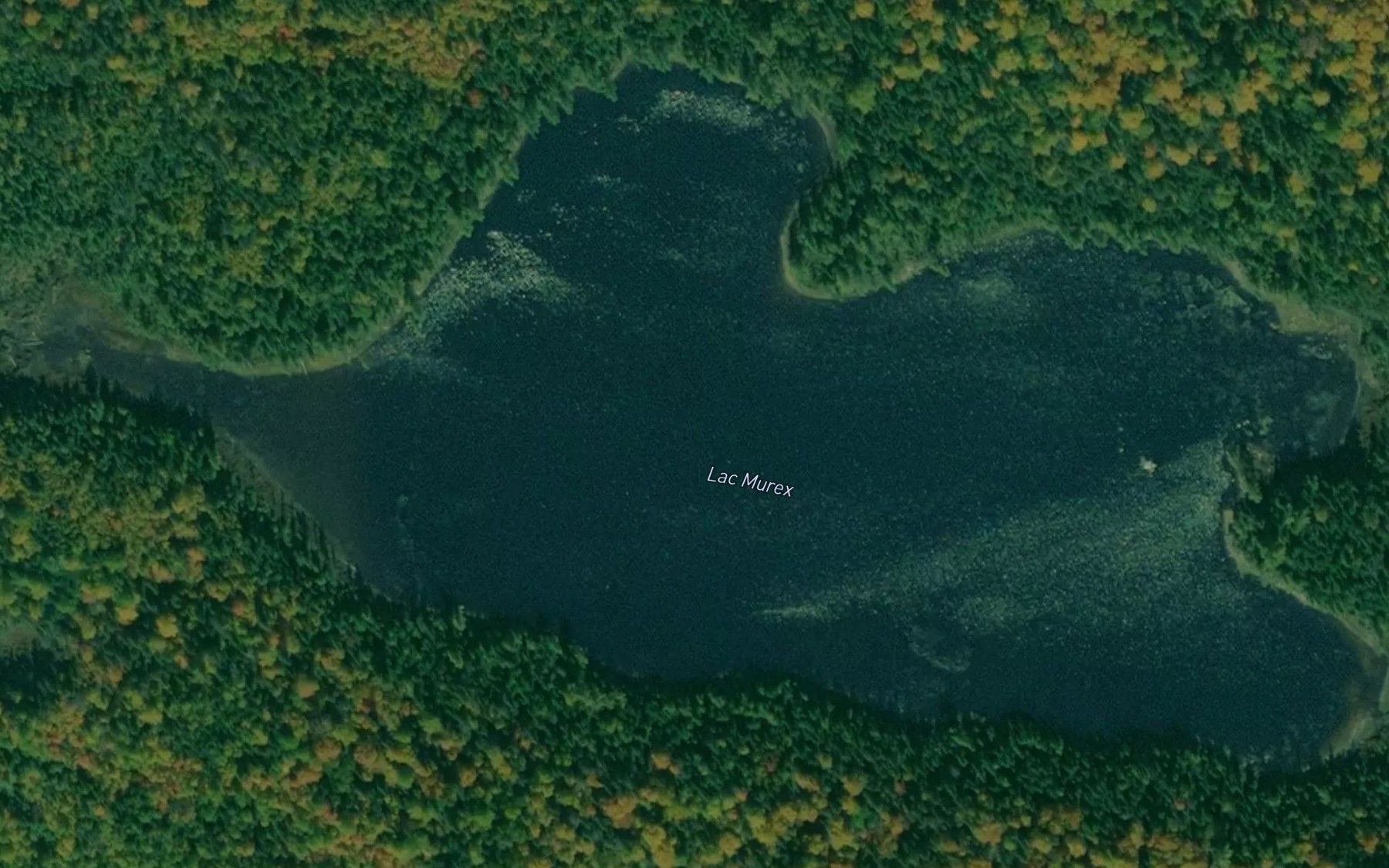 Satellite map of the Lac Murex