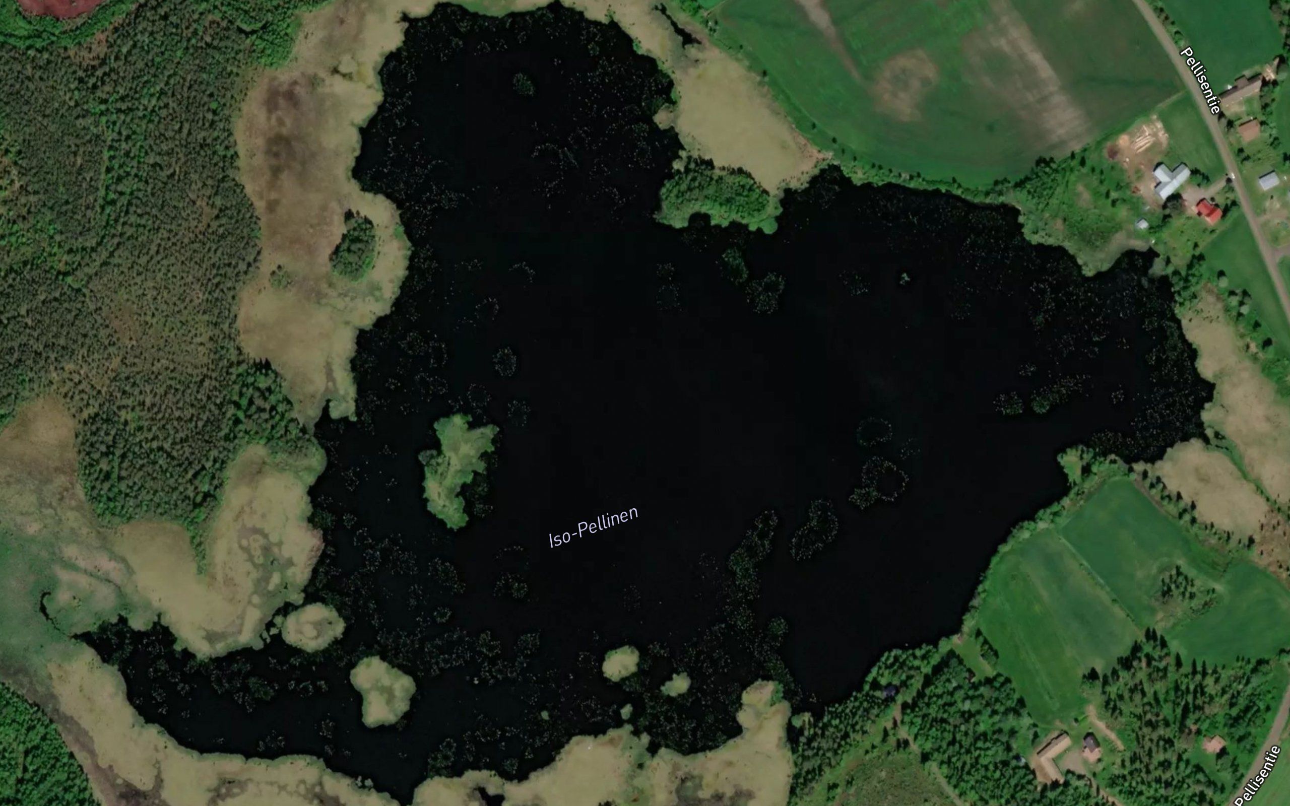 Isopellinen