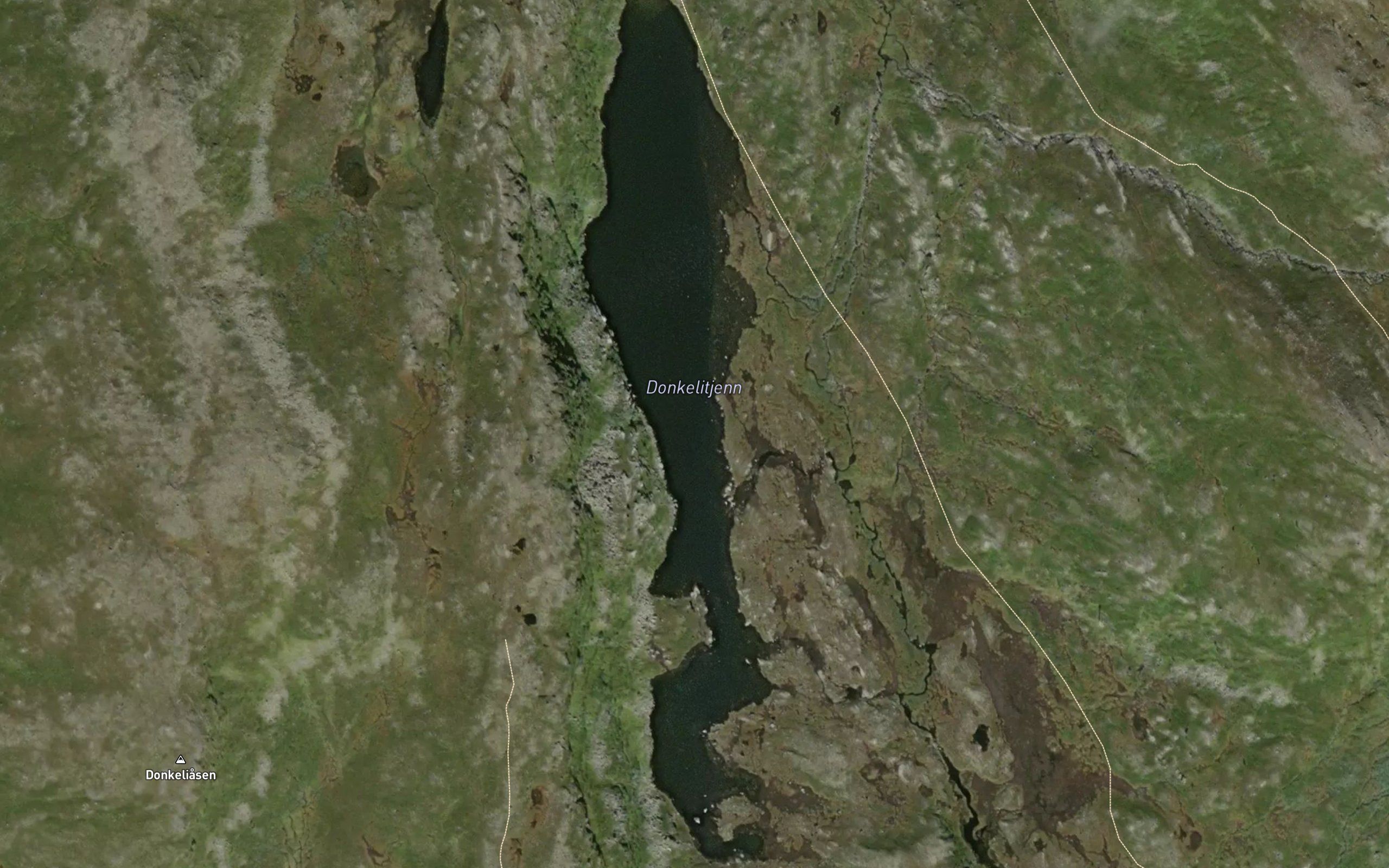 Donkelitjern