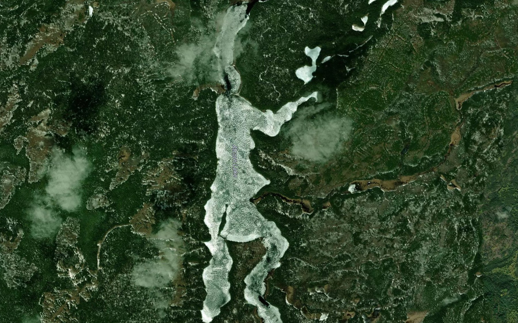 Satellite map of the Alcorn Lake