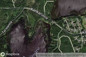 Tuomiojanpieli