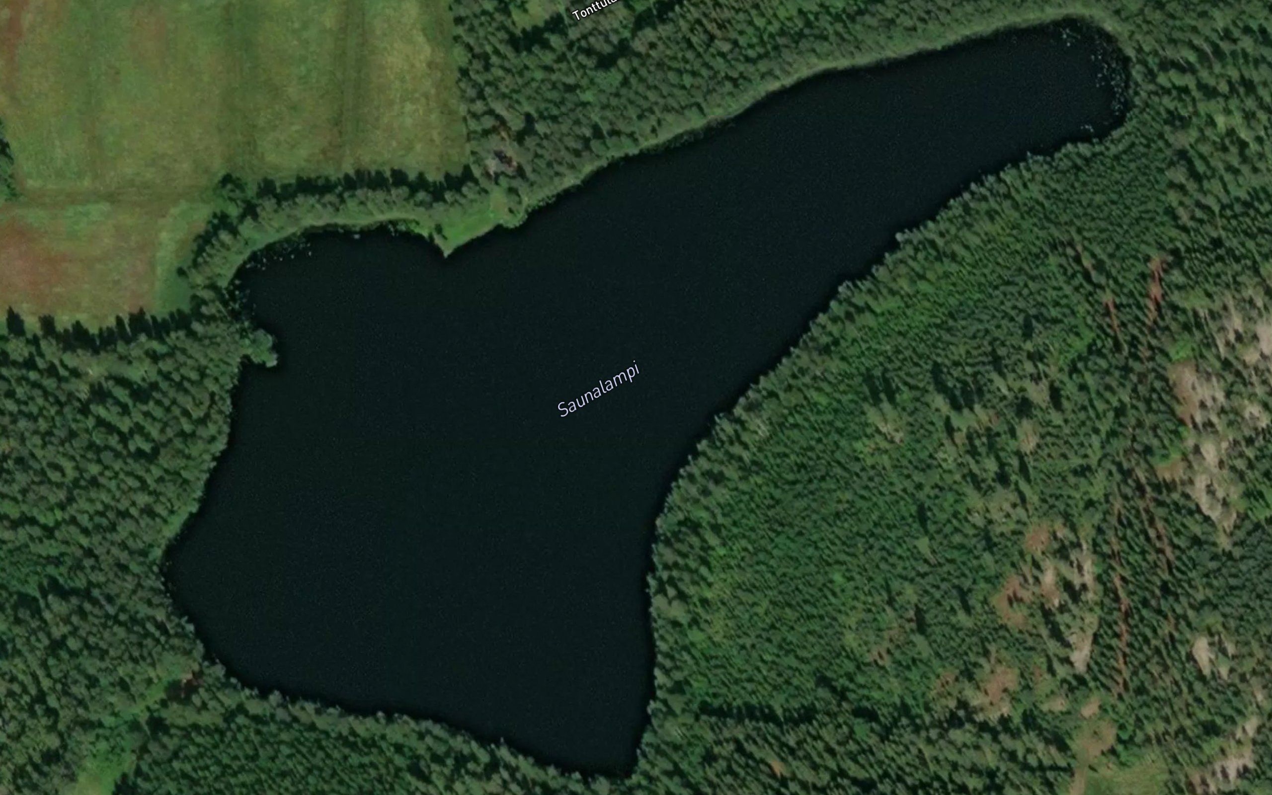 Saunalampi