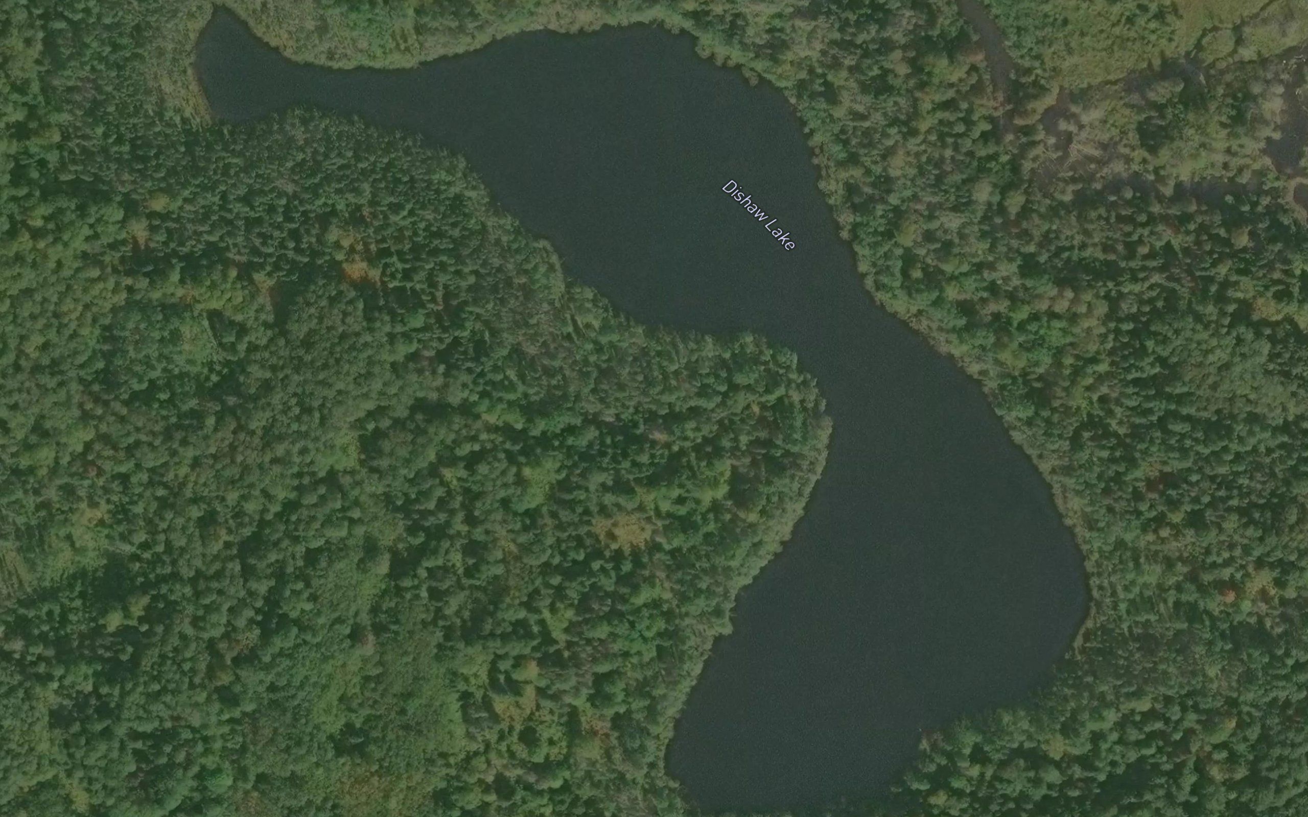 Dishaw Lake
