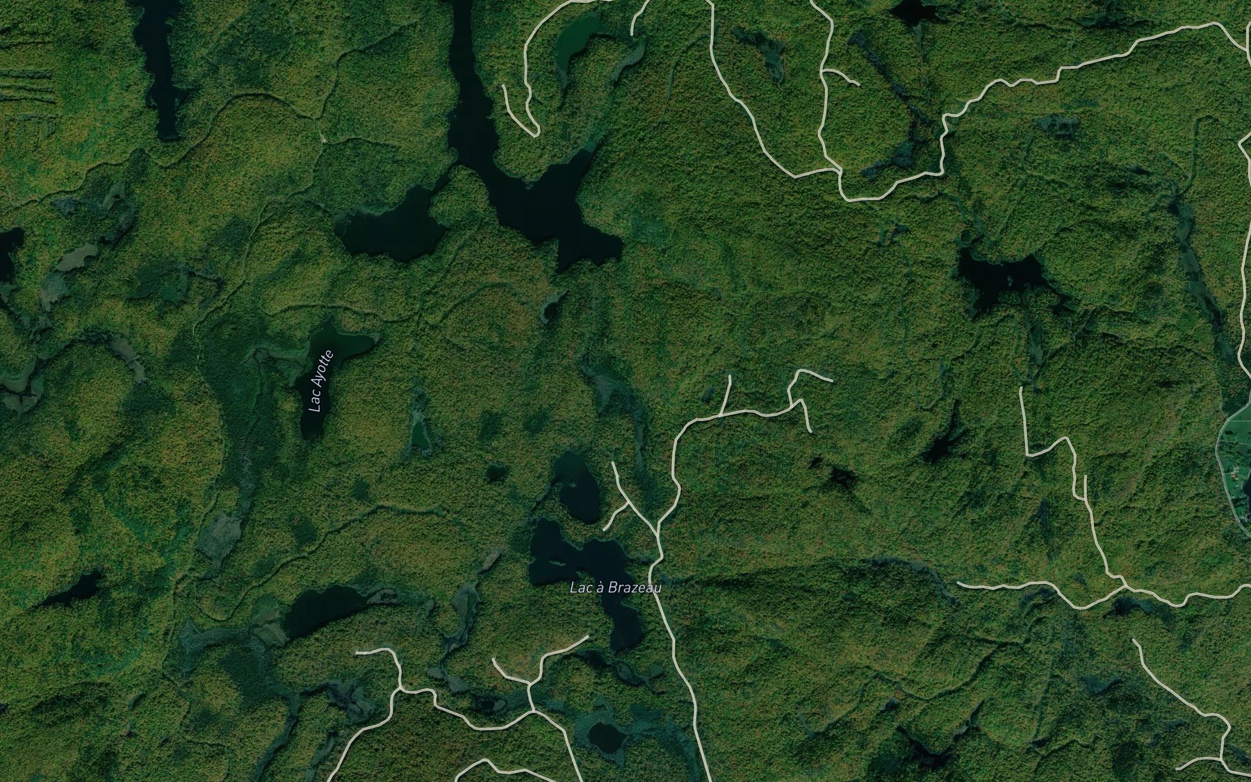 Satellite map of the Baie Roy