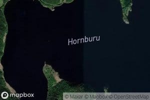 Hornburu