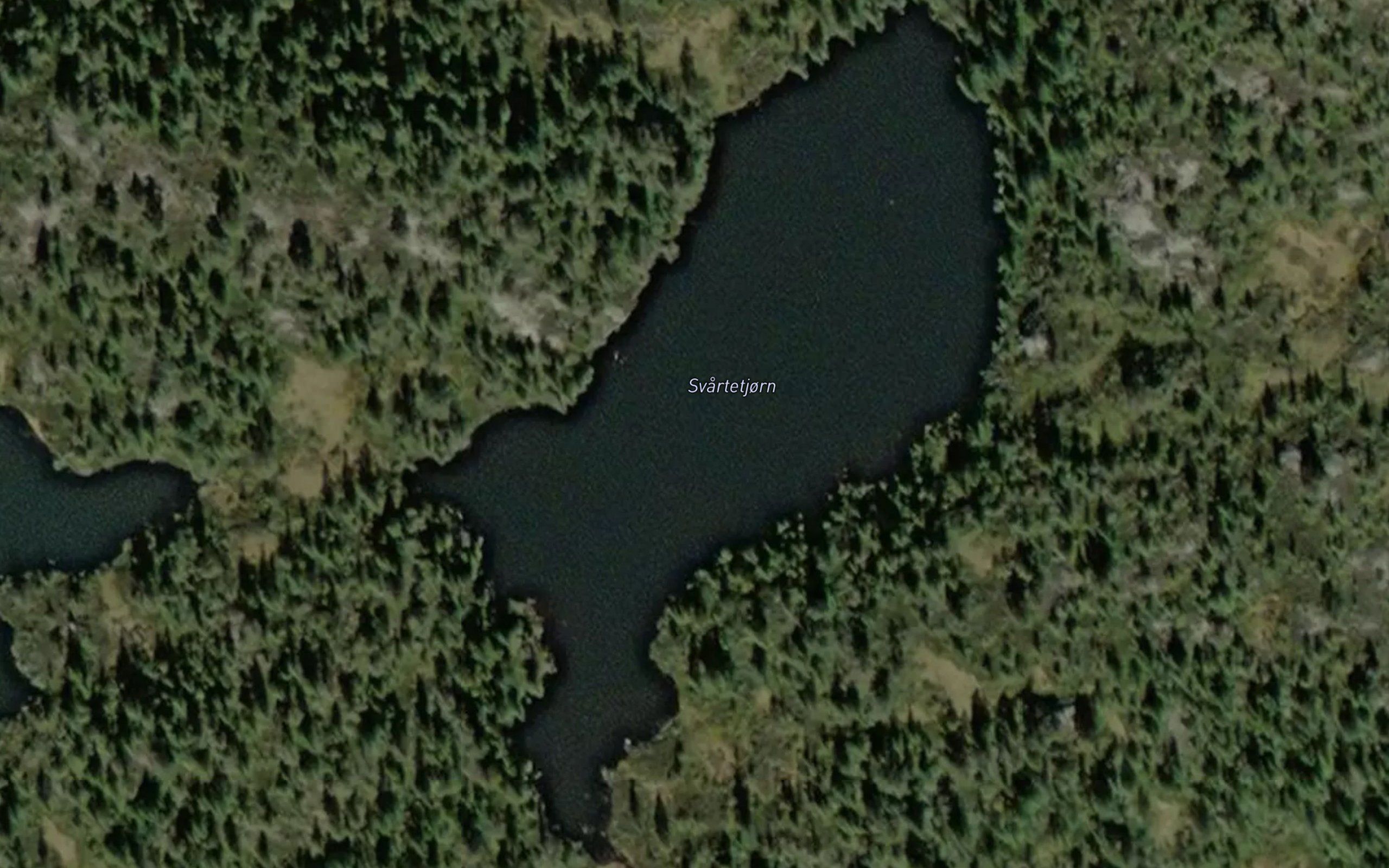 Svartetjorn