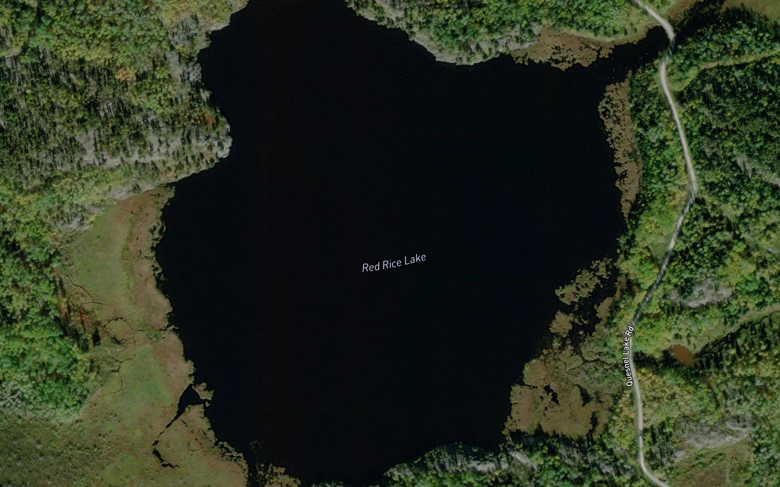 Red Rice Lake