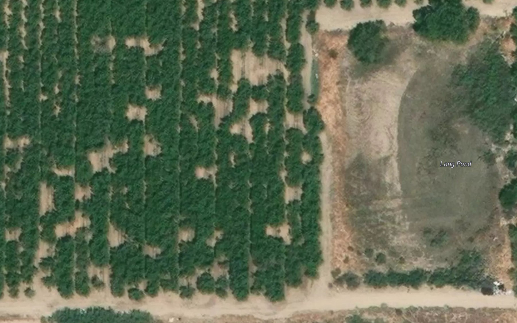 Satellite map of the Long Pond