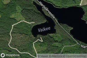 Valkee