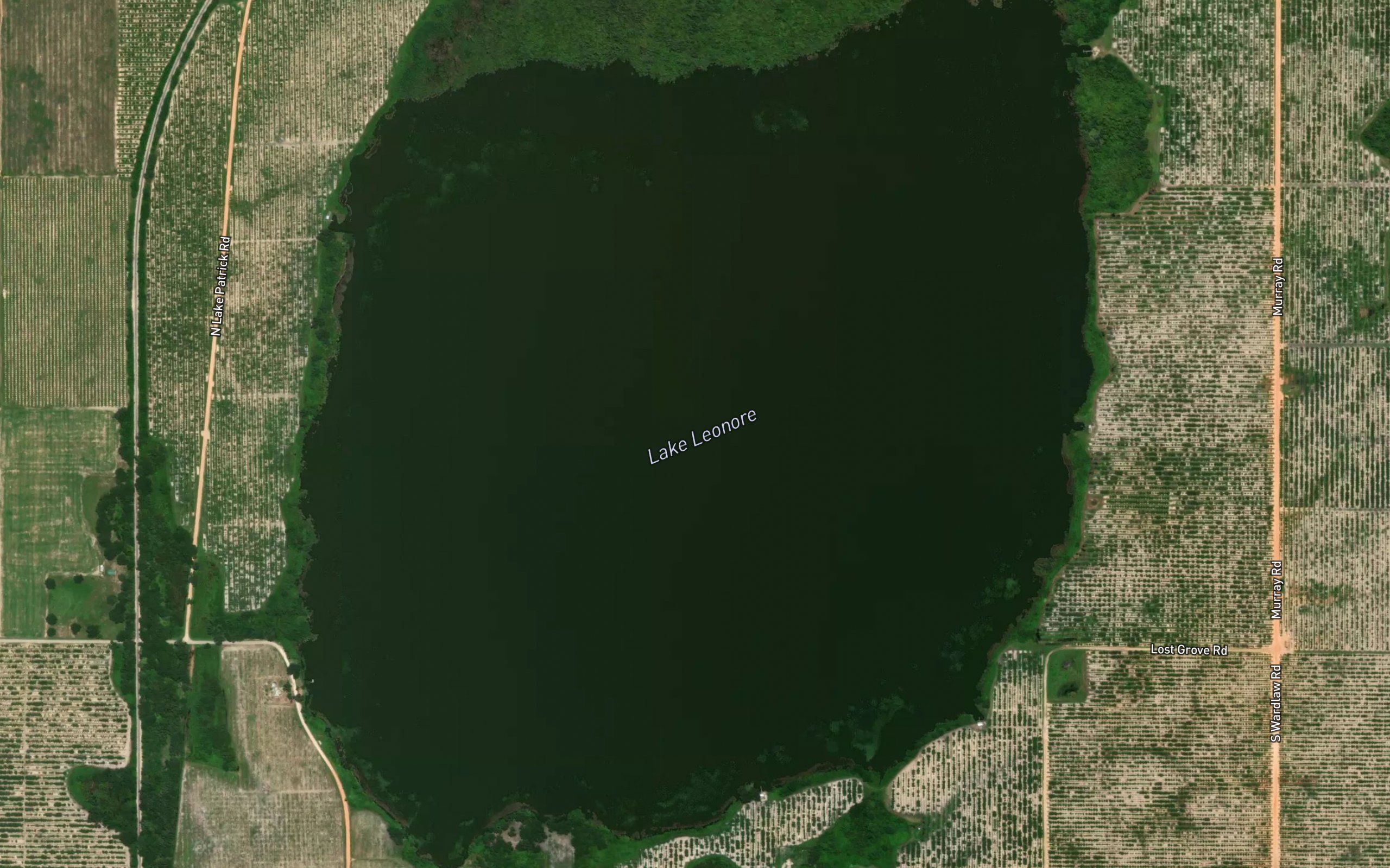 Lake Leonore