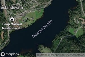 Neslandsvatn