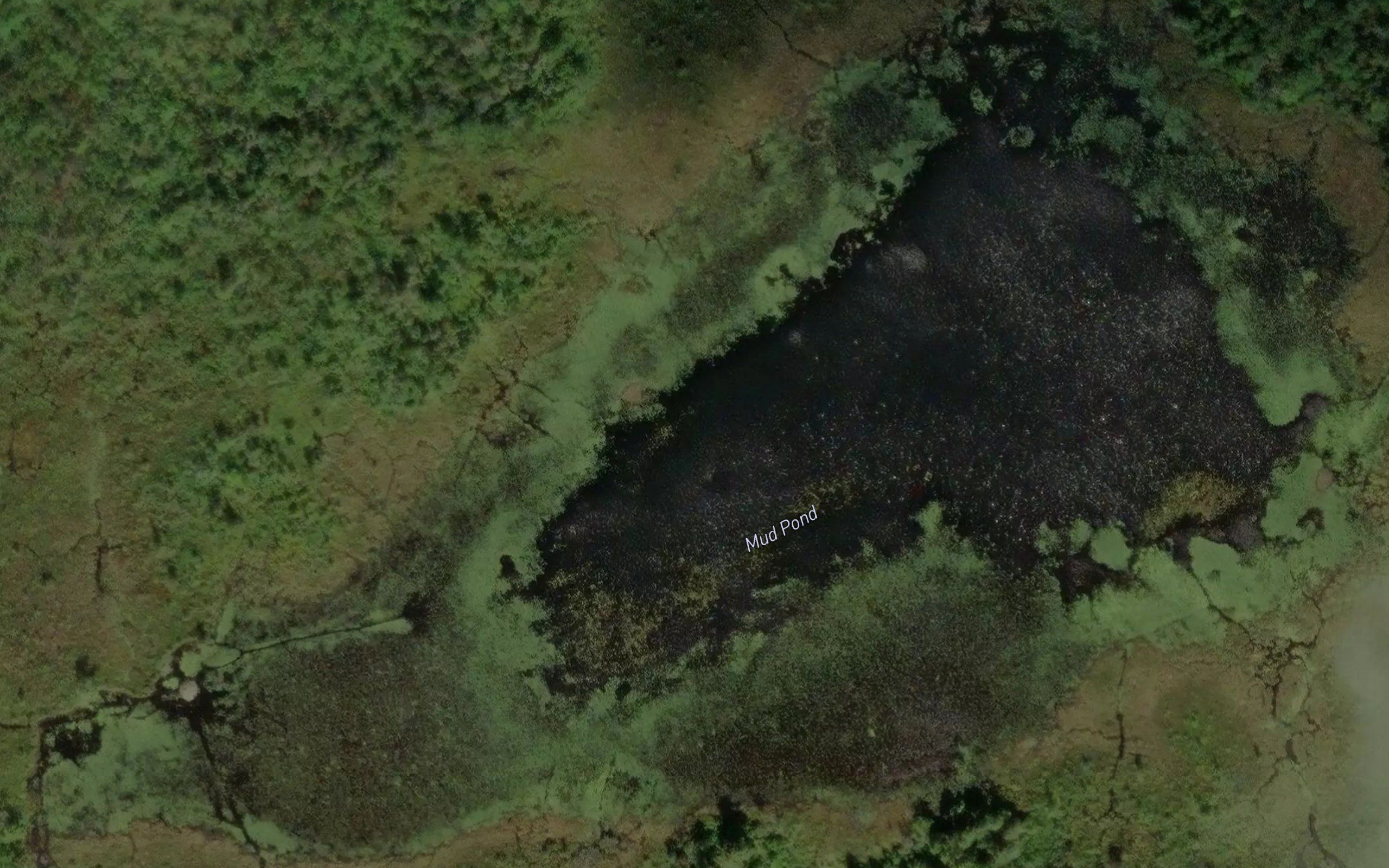 Mud Pond