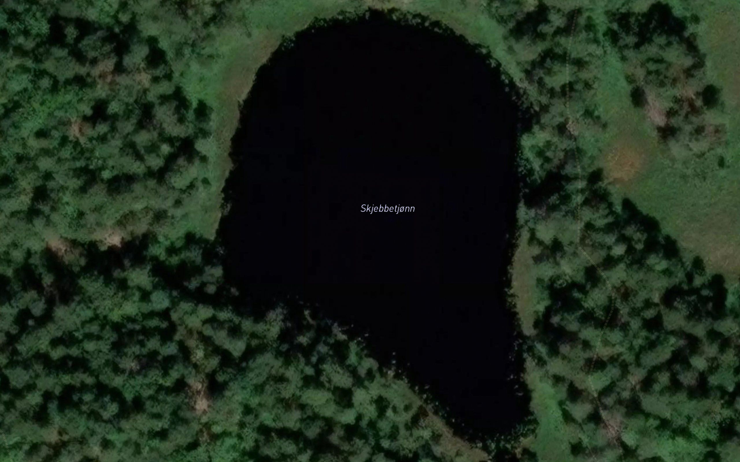 Skjebbetjonn