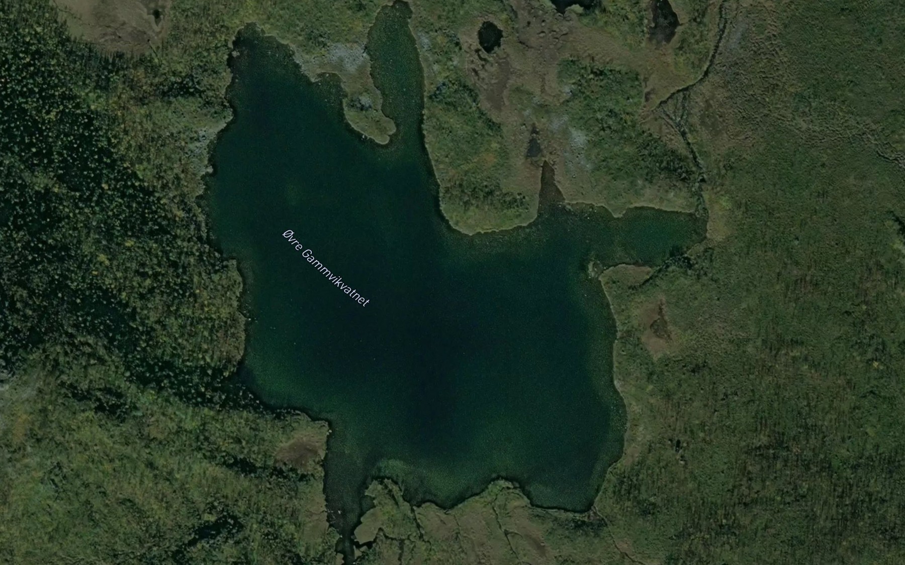 Satellite map of the Ovre Gammvikvatnet