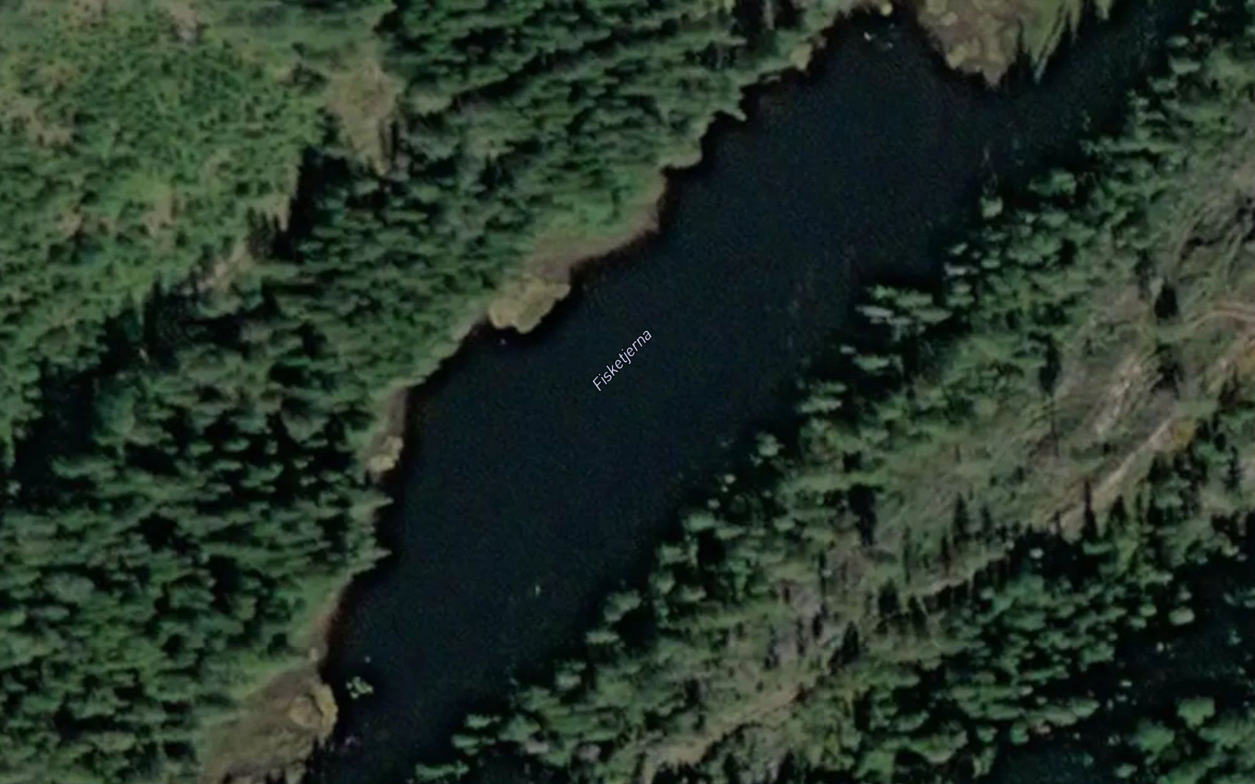 Fisketjerna