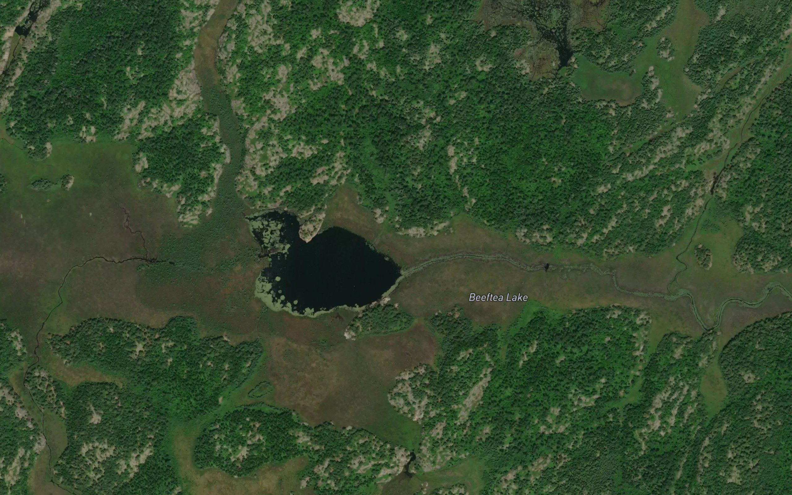 Beeftea Lake