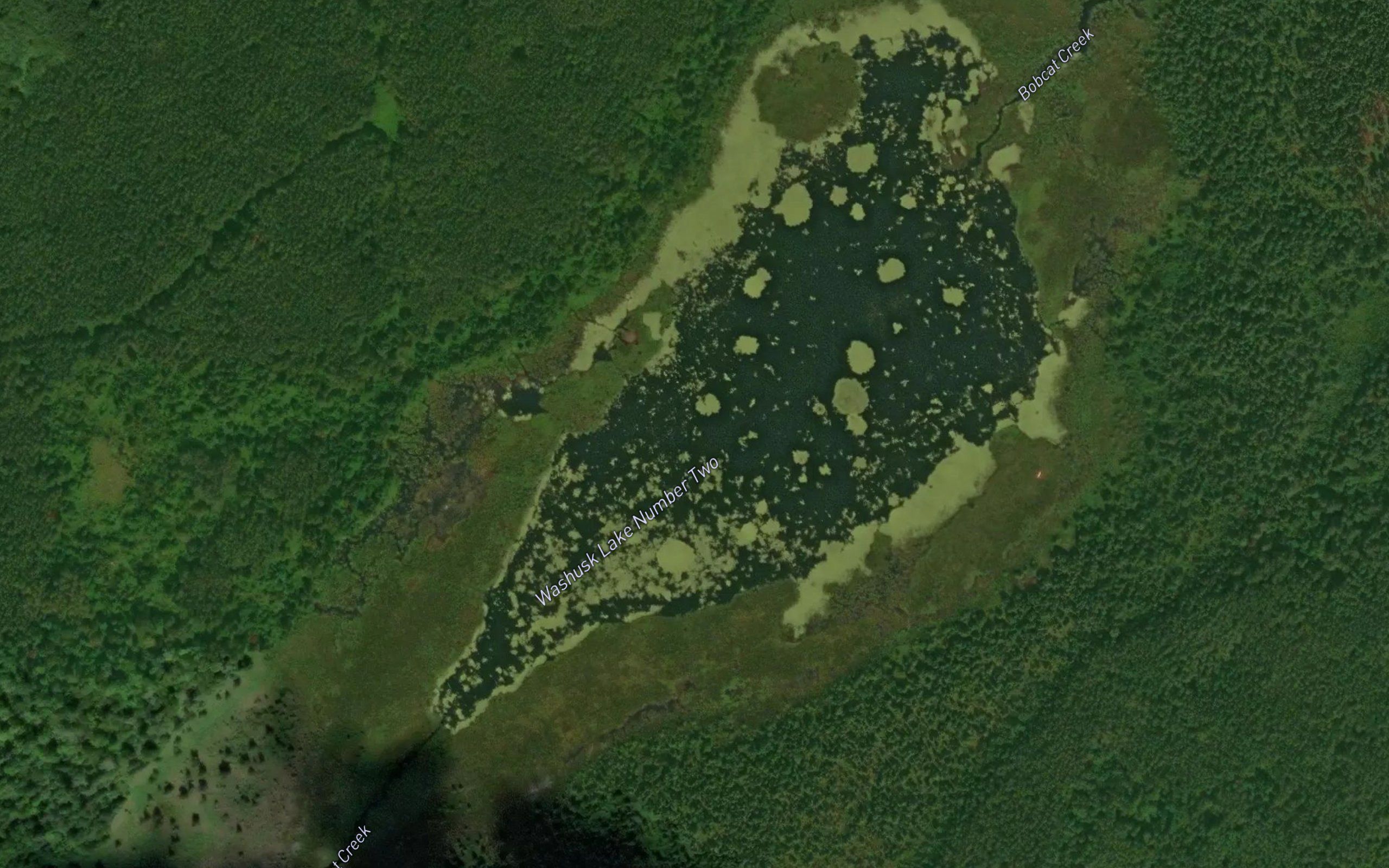 Washusk Lake Number Two