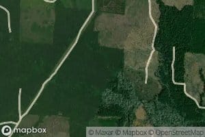 Locket Creek