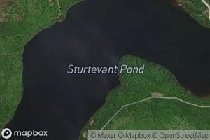 Sturtevant Pond