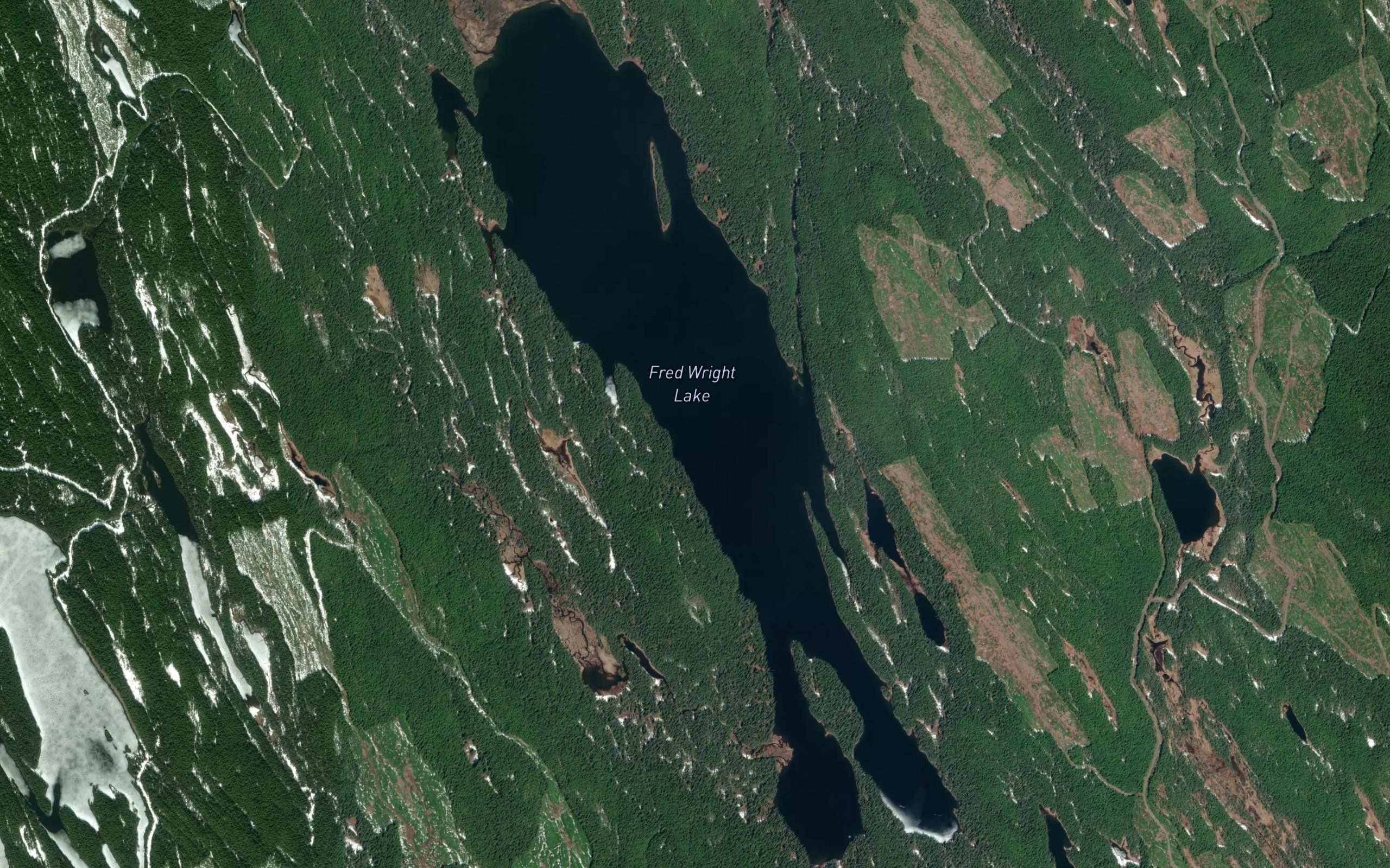 Fred Wright Lake