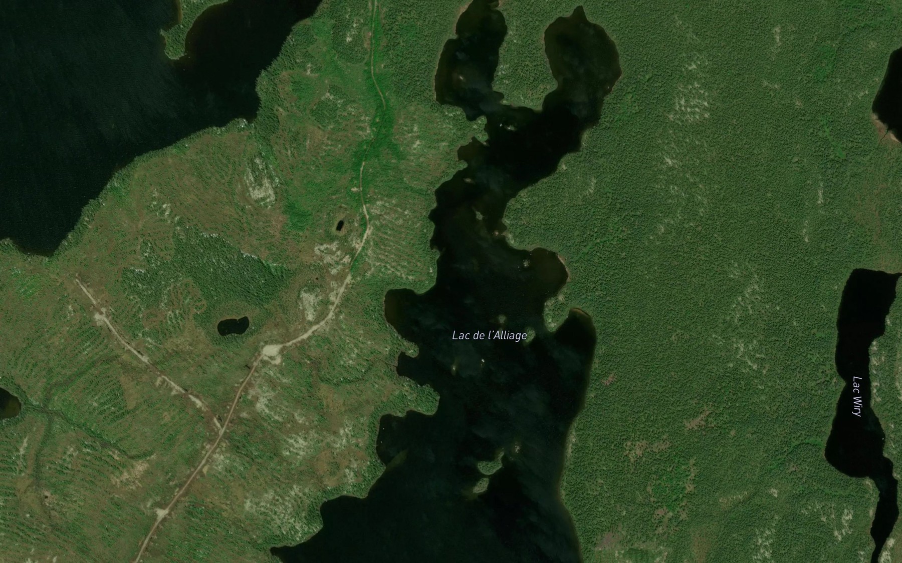 Satellite map of the Lac de l'Alliage