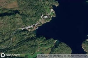 Anesbugen