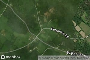 Peacham Hollow Brook