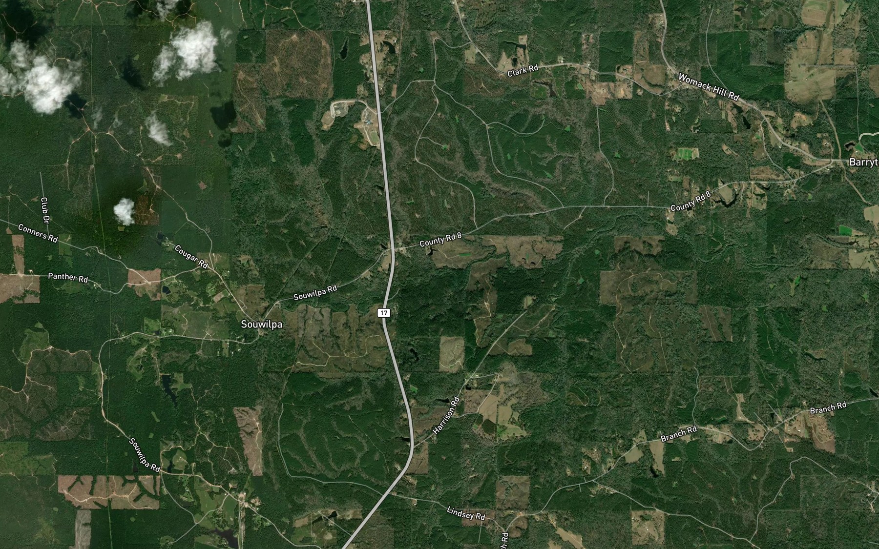 Satellite map of the Big Branch