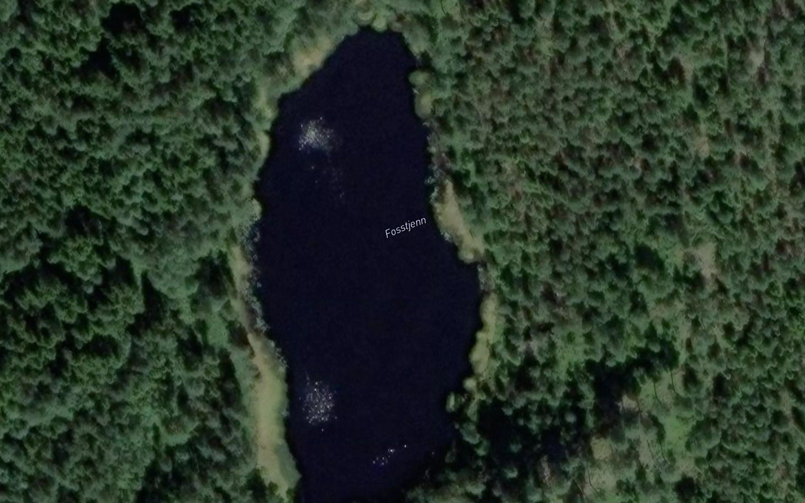 Fosstjern