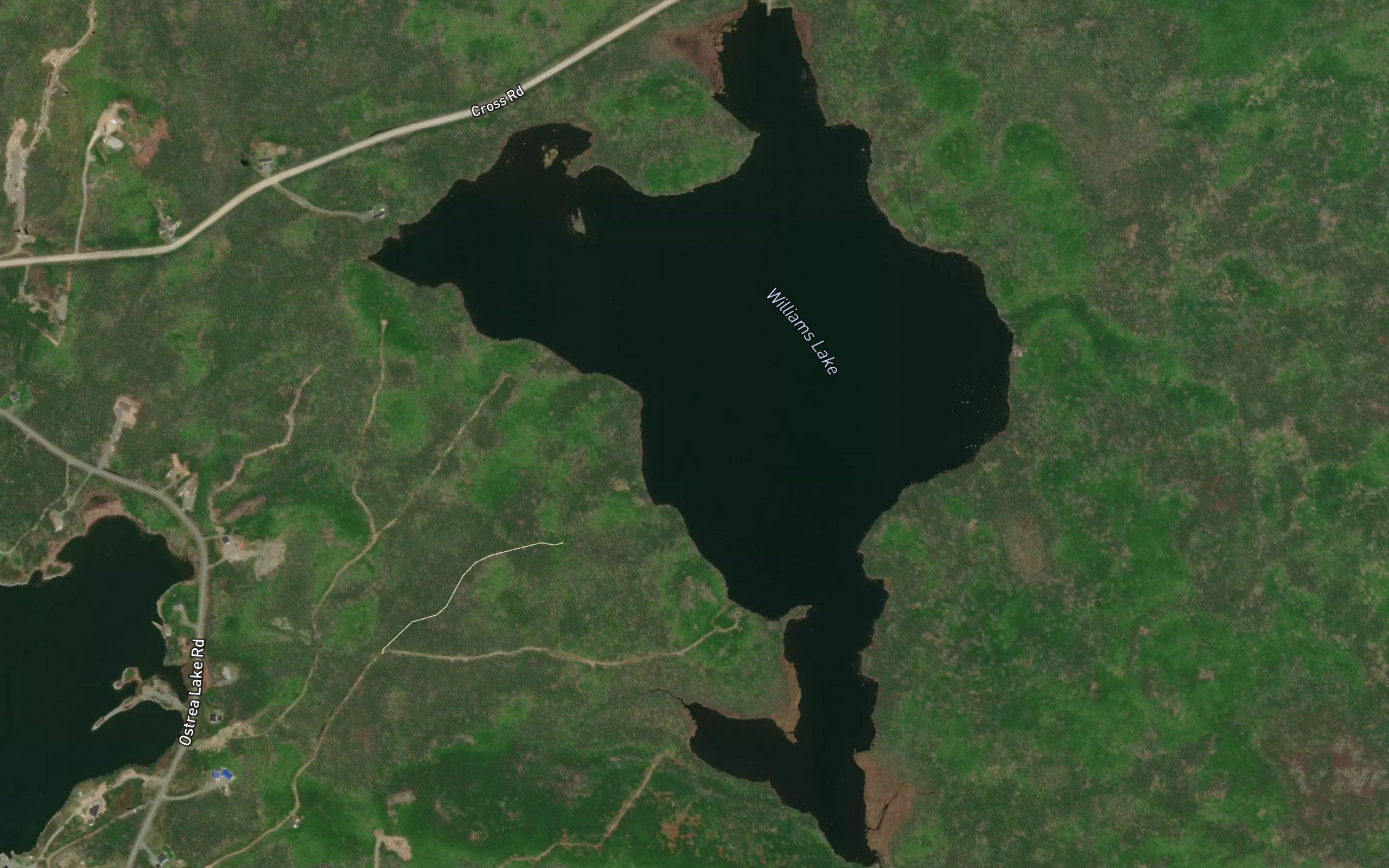 Williams Lake