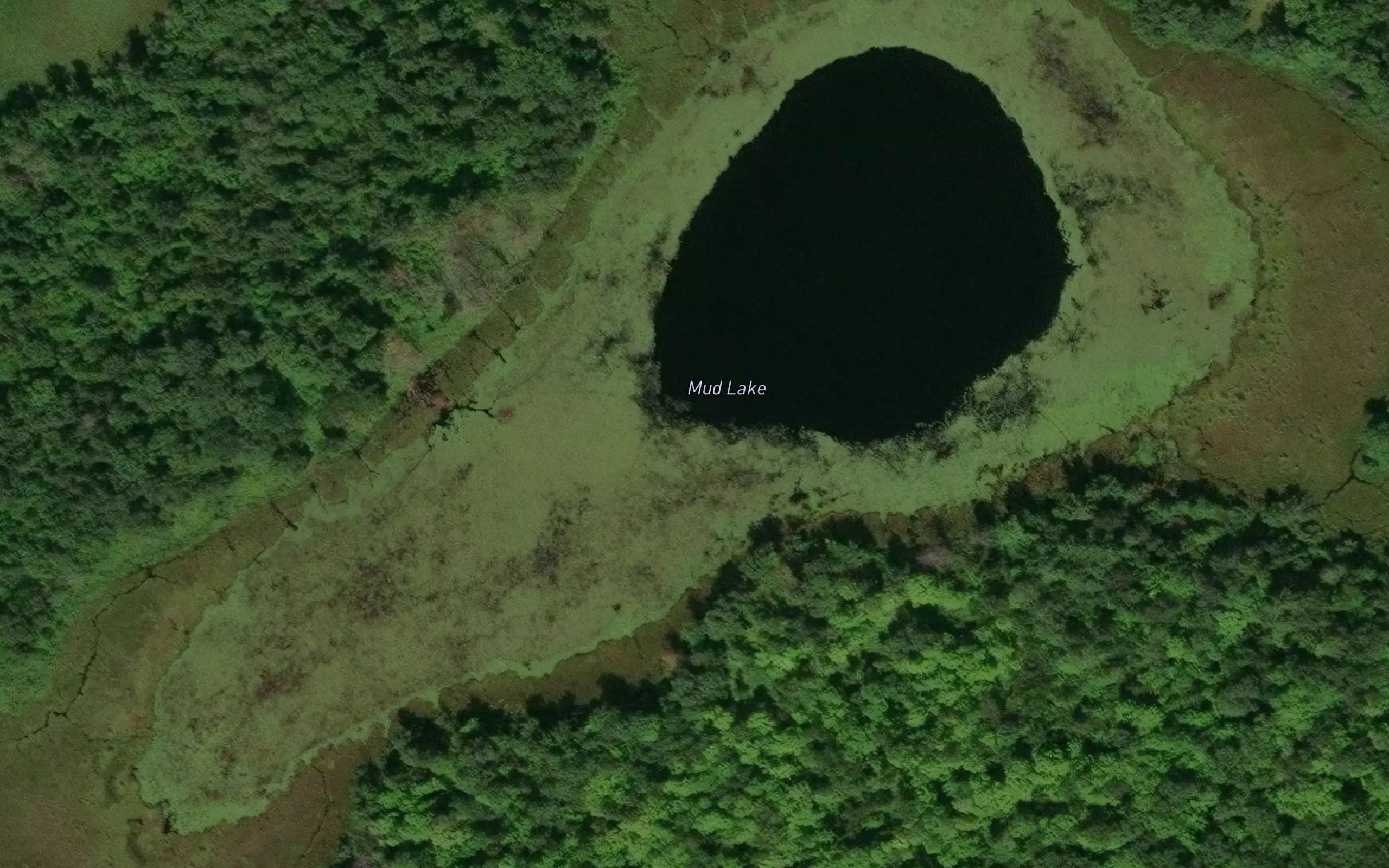 Mud Lake