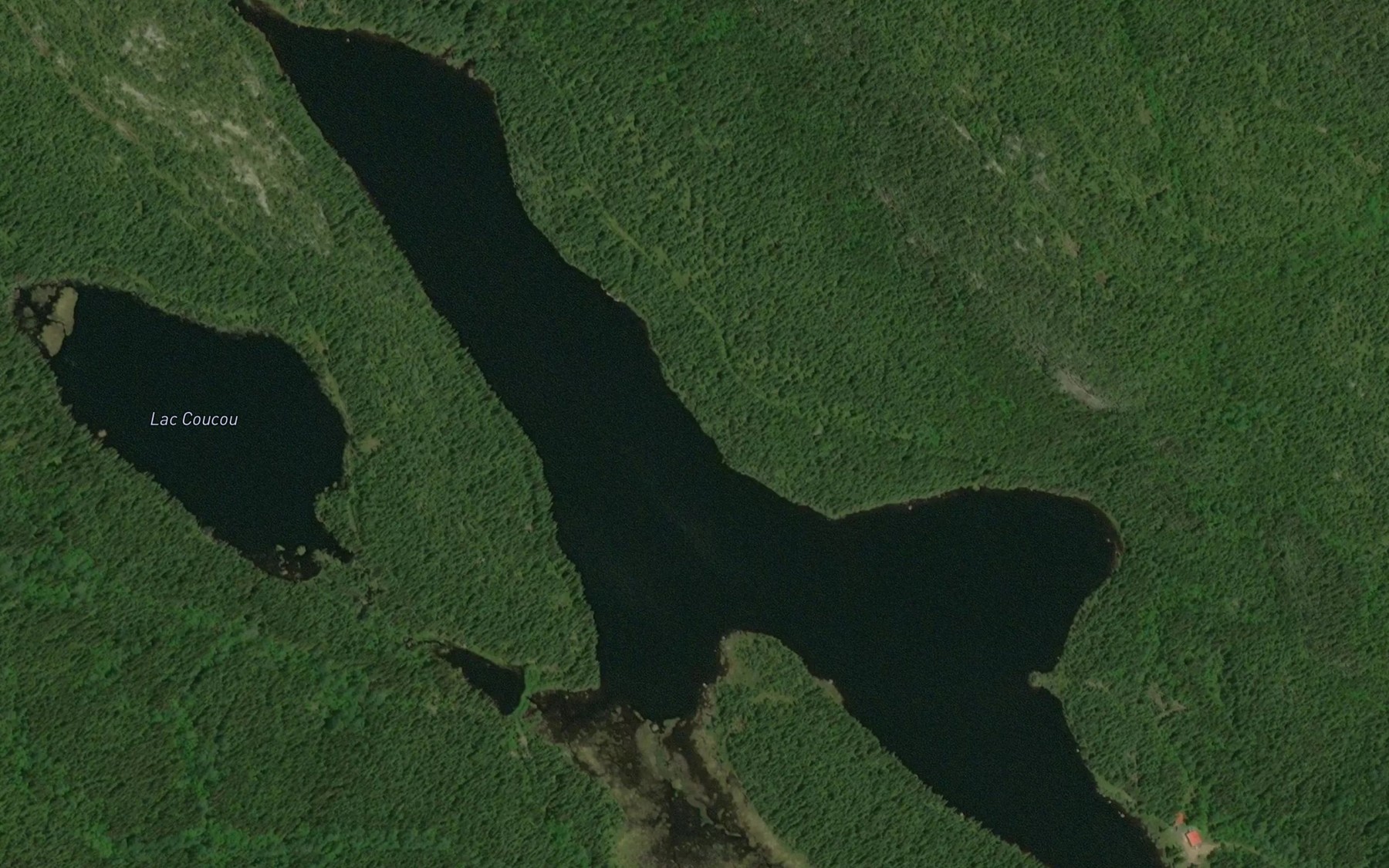 Satellite map of the Lac Gelinas
