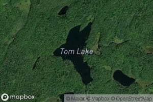Tom Lake