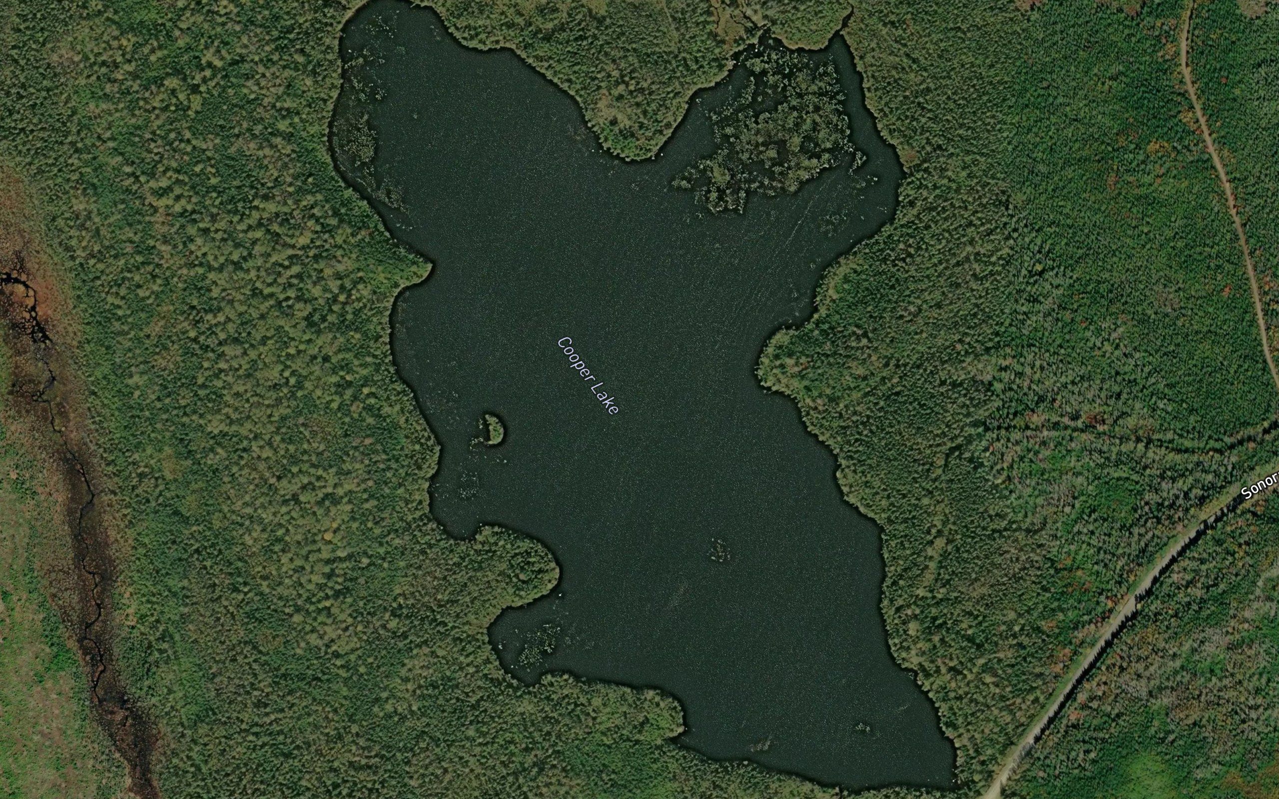 Cooper Lake