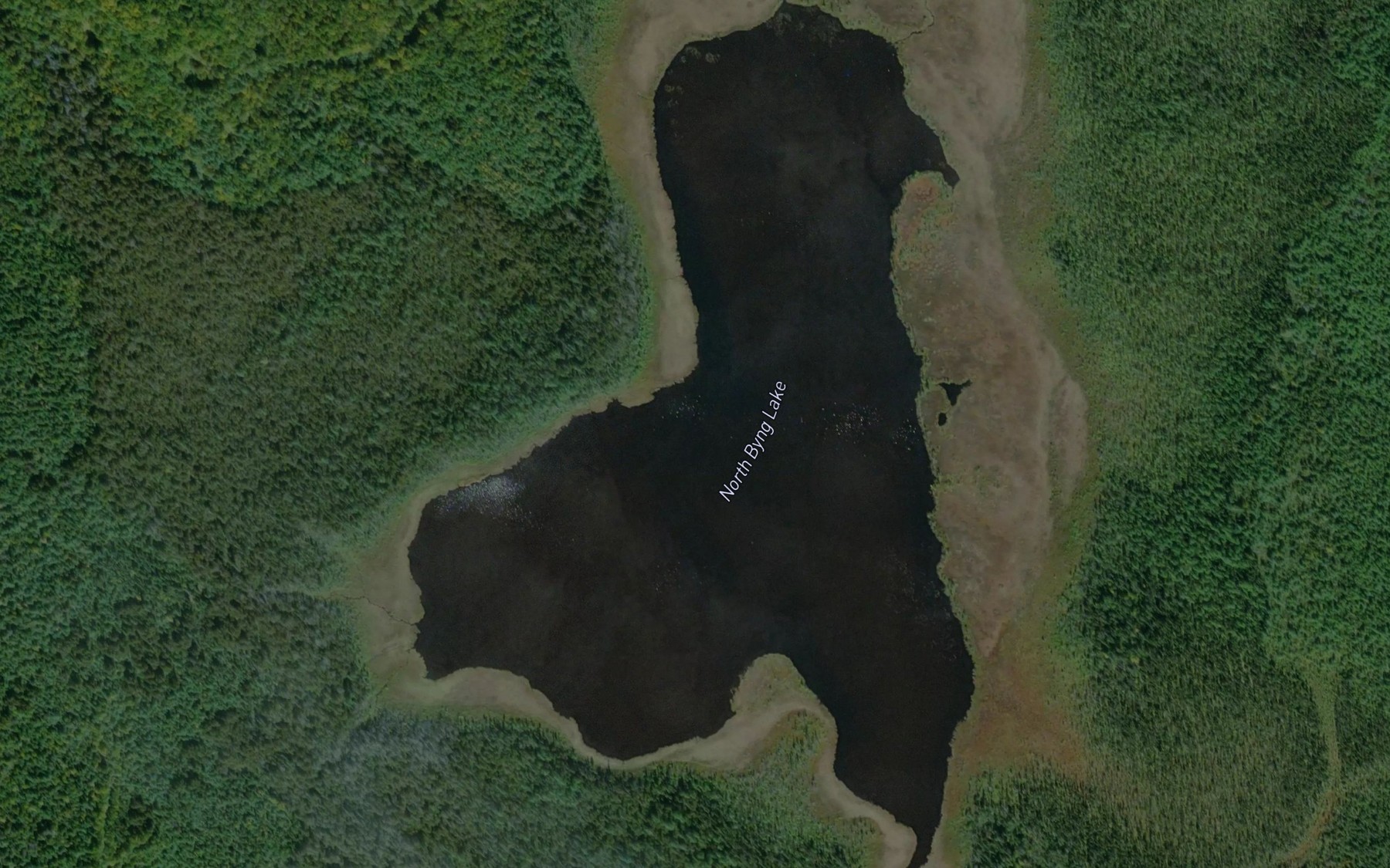 Satellite map of the North Byng Lake