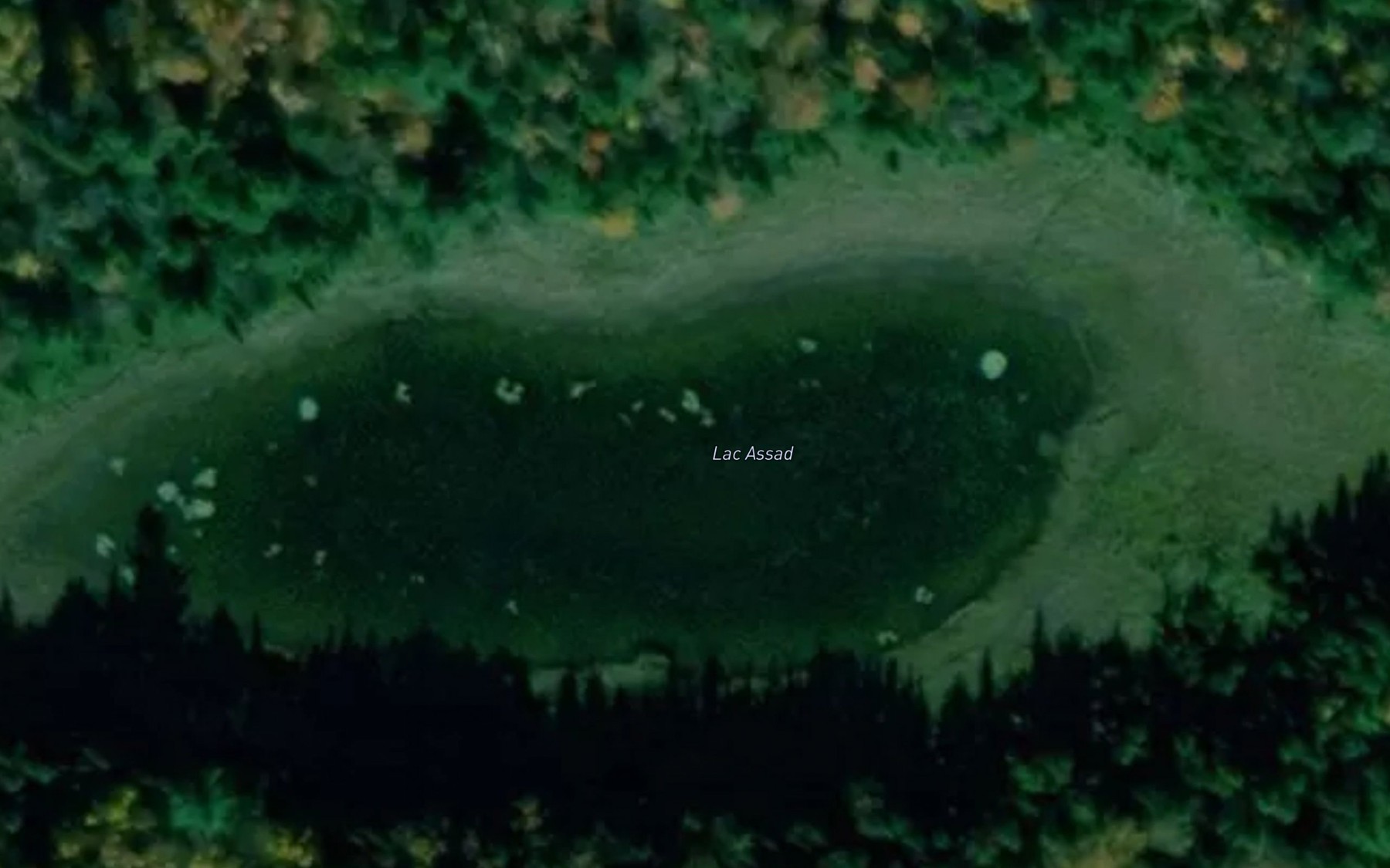 Satellite map of the Lac Assad