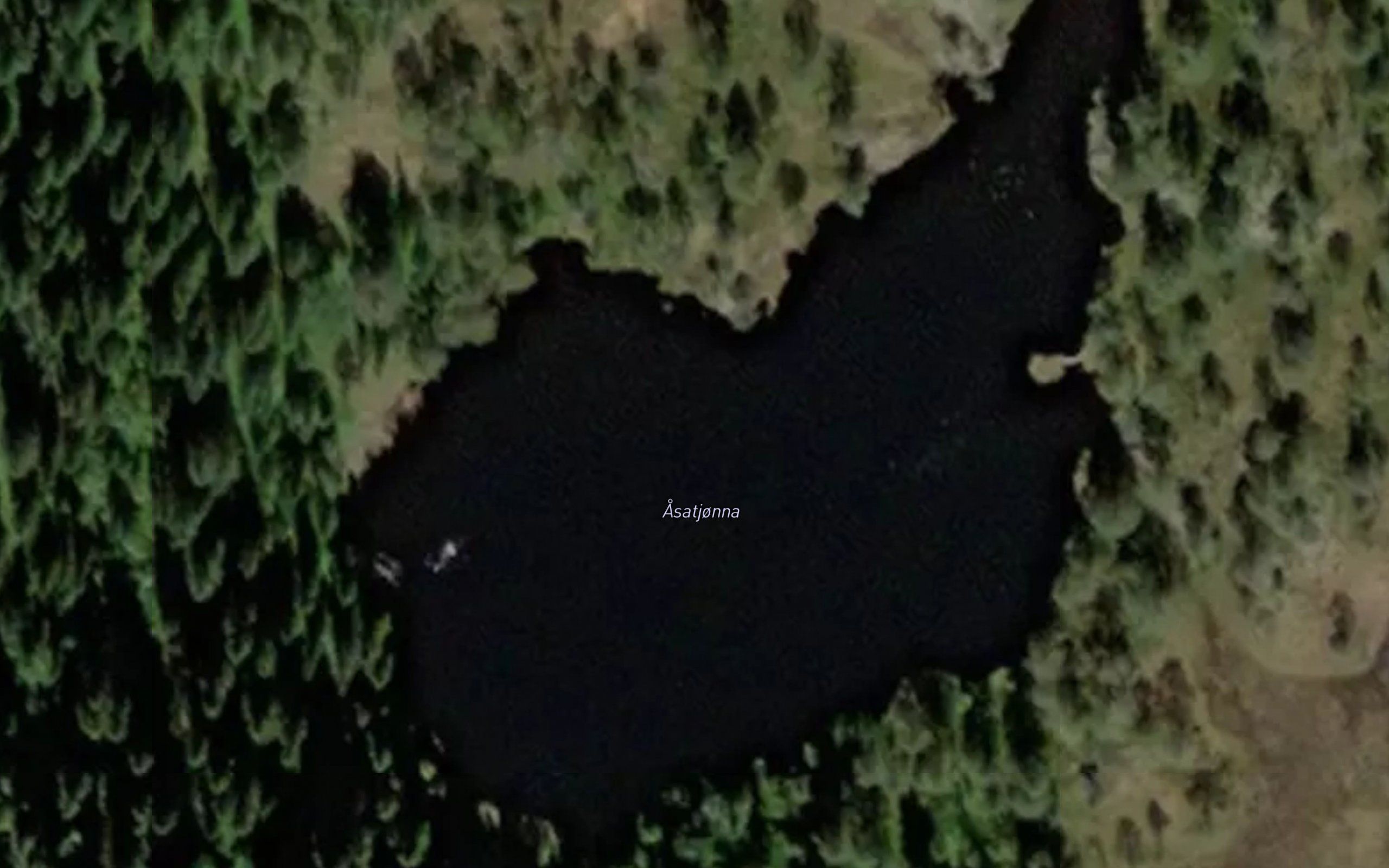 Asatjorna