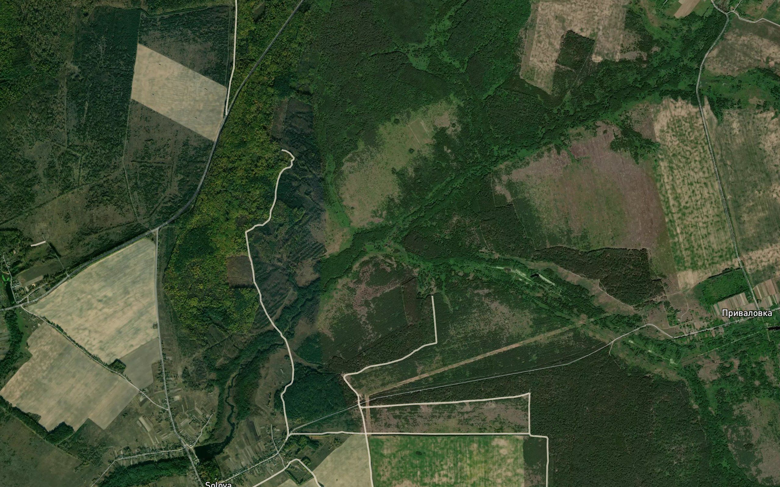 Murashevka