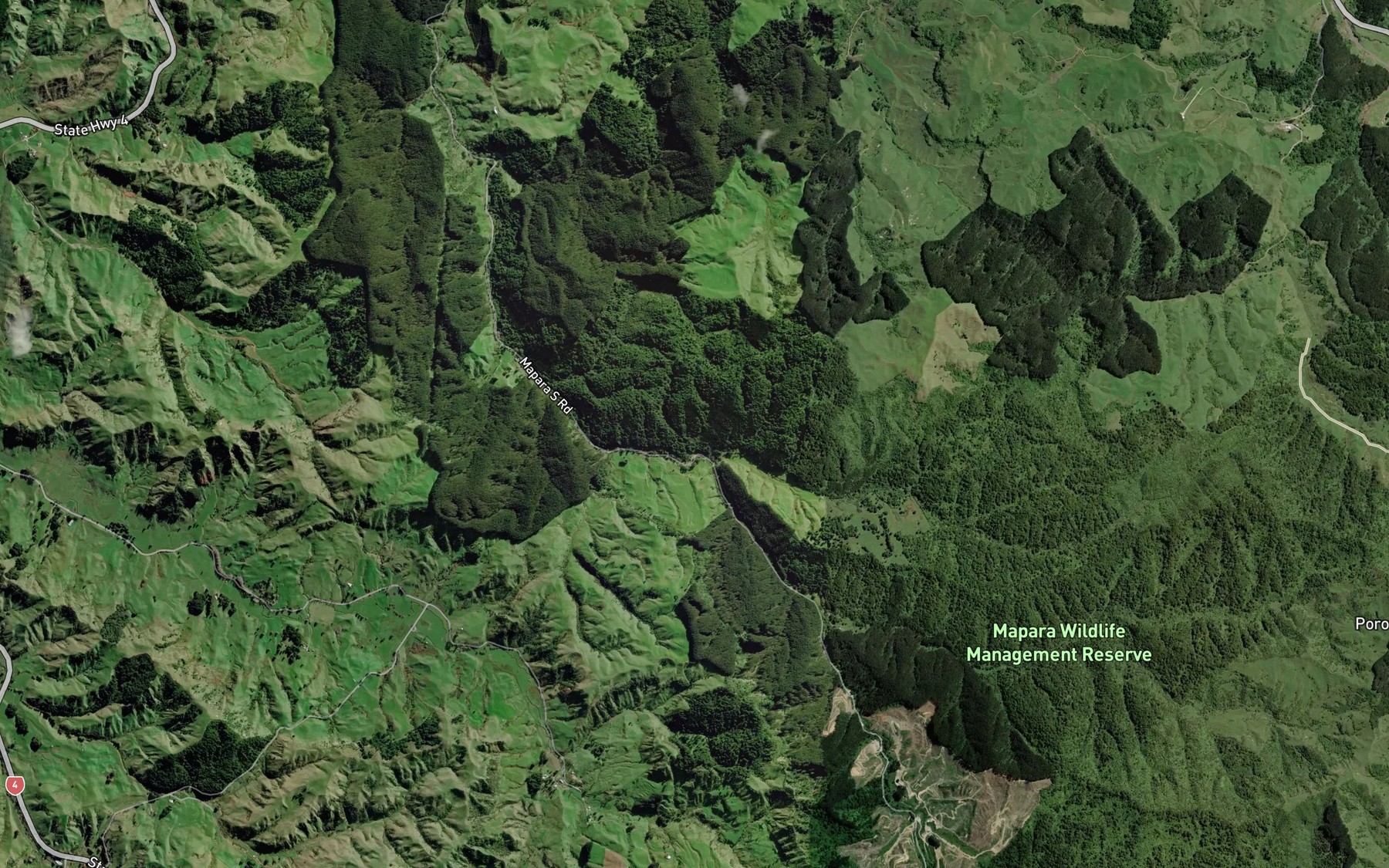 Satellite map of the Waewaepitau Stream