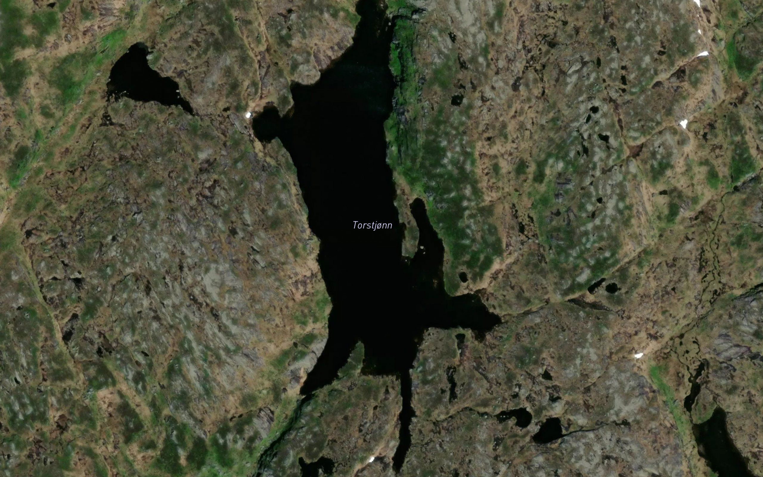Torstjonn