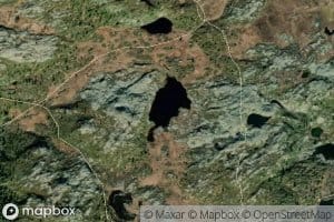 Steinbrenntjednet