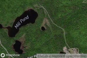 Fifth Pond