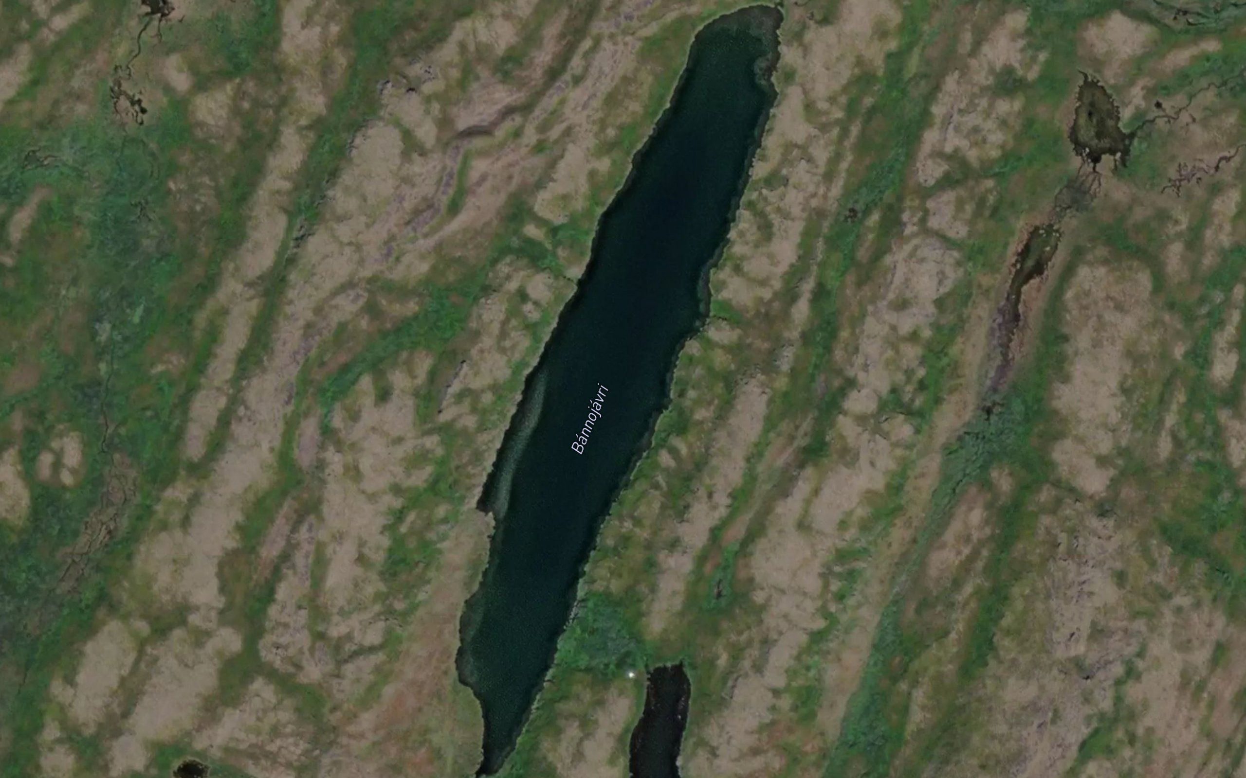 Bannujavri