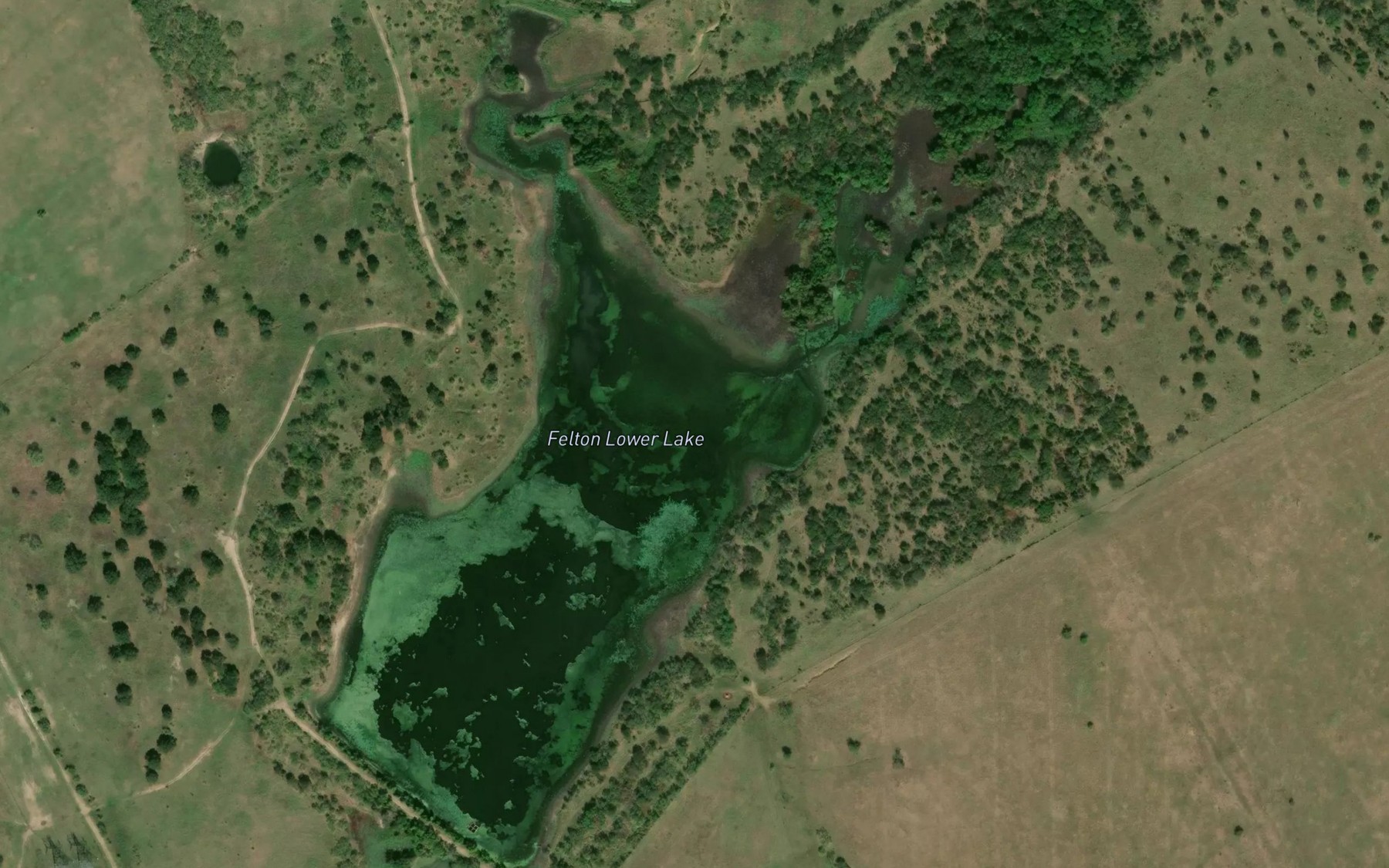 Satellite map of the Felton Lower Lake
