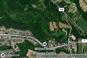 Credit River West Branch