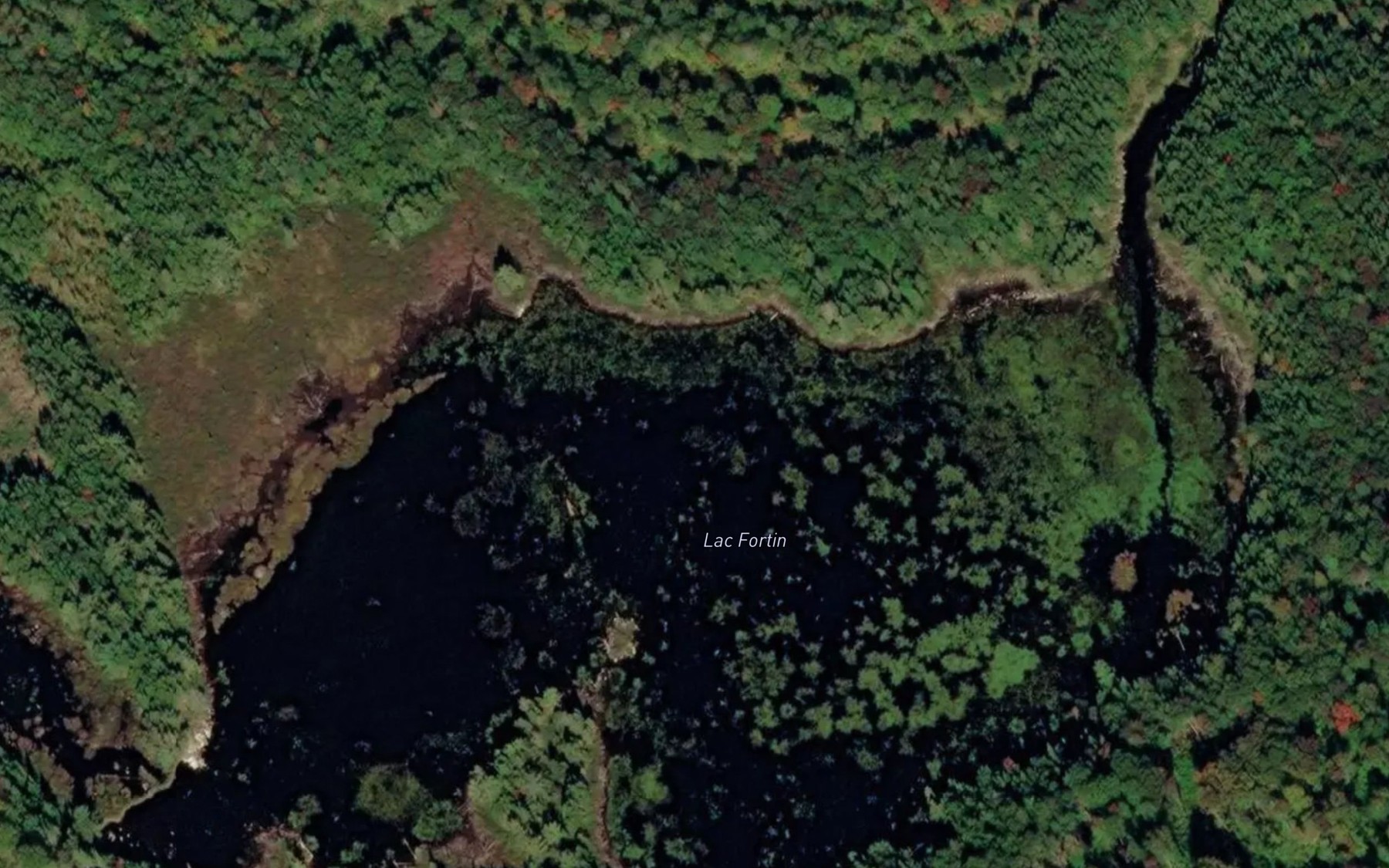 Satellite map of the Lac Fortin